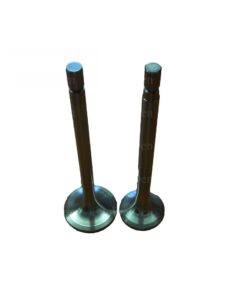 Famaru 300 Series Exhaust/Inlet Valves