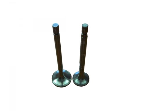 Famaru 300 Series Exhaust/Inlet Valves