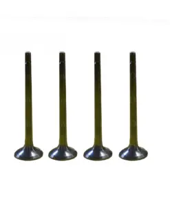501 Exhaust Valve