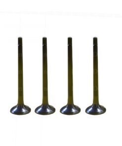 501 Exhaust Valve
