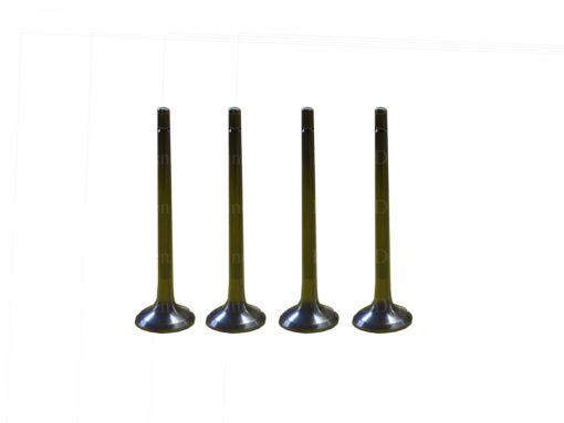 501 Exhaust Valve