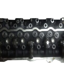 2L OLD NEW BARE HEAD