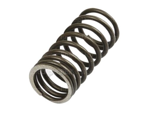 501 VALVE SPRING
